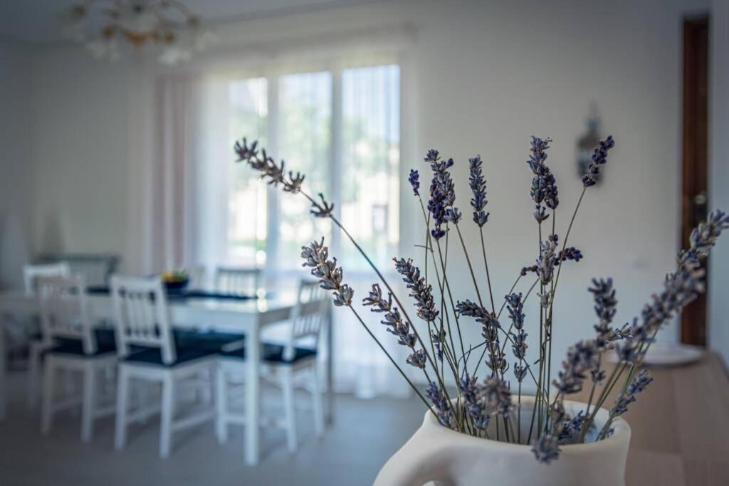 Casa Gu Villa Лидо Ди Камайоре Екстериор снимка
